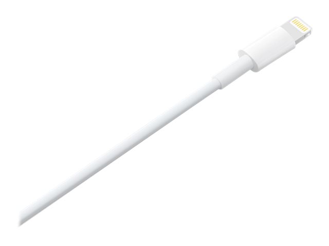 Apple - Cable Lightning - Lightning macho a USB macho